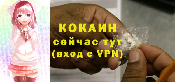 соль ск Бородино