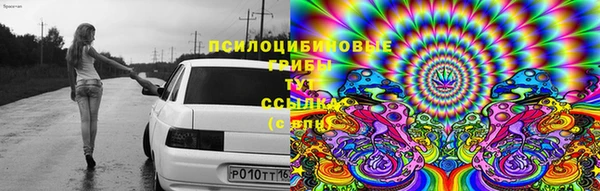2c-b Бронницы