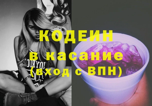 соль ск Бородино