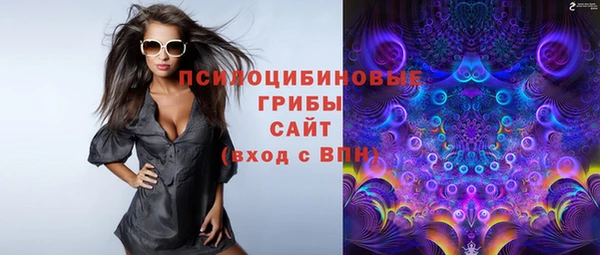 соль ск Бородино